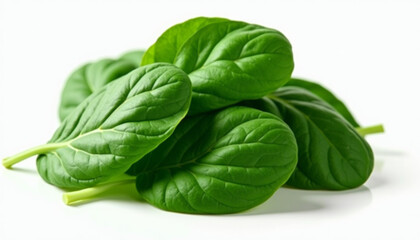 Fototapeta premium Fresh Spinach Leaves - A Healthy and Delicious Food