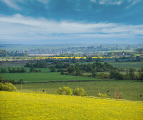 Spring countryside view with rapeseed yellow blooming fields, groves, hills. Ukraine, Lviv Region.