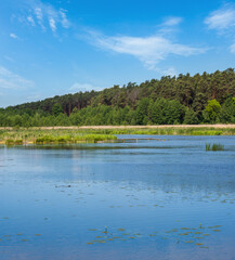 Summer countryside valley rushy lake landscape. Wooden footbridge in far.
