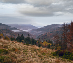 Cloudy and foggy early morning autumn mountains scene. Peaceful picturesque traveling, seasonal, nature and countryside beauty concept scene. Carpathian Mountains, Ukraine.