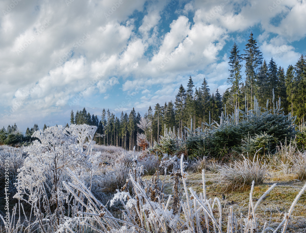 Wall mural Winter coming. Last days of autumn, morning in mountain countryside peaceful picturesque hoarfrosted scene.  Ukraine, Carpathian mountains.