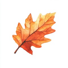 Obraz premium Watercolor Painting of a Single Autumn Oak Leaf