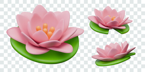 Pink lotus flower with green leaves. Realistic water lily in different positions