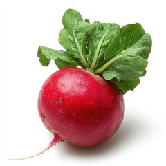 radish, isolated on white background.