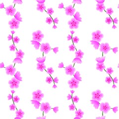 Seamless pattern with Sakura flowers