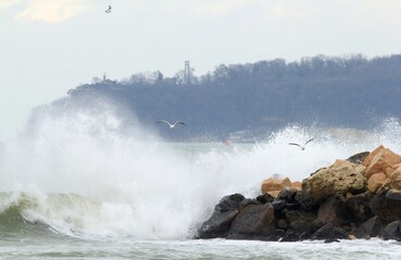 Storm on the Black Sea in winter in Varna (Bulgaria)
