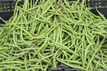 Fresh green beans pilling up in a black crate at farmers market