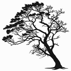 silhouette of a tree