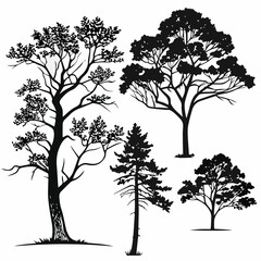 Obraz premium set of trees