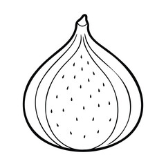 Black and white illustration of a fig fruit cross-section with seeds, featuring a clean and minimalistic line art style