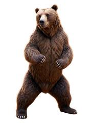 Robust brown bear standing upright with thick fur in a natural pose