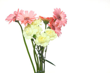 Obraz premium ガーベラとカーネーションの花束