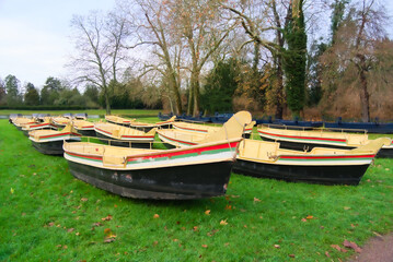 Obraz premium Rowboats Resting on Green Grass in a Park