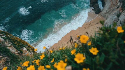 Obraz premium Coastal View with Vibrant Yellow Flowers and Lush Green Grass Overlooking Waves and Sandy Beach