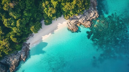 Tropical beach with palm trees and turquoise water in the ocean, aerial top view. Paradise island on a sunny day. Trip, travel and vacation concept