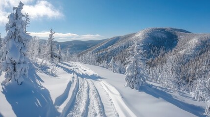 Ski Tracks Leading Through Serene Snowy Mountains Under Bright Blue Sky in Winter Wonderland Landscape
