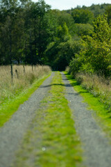 Long straight gravel road by a forest.