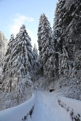 Snowy landscape in Switzerland