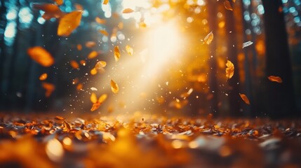 Fototapeta premium Autumnal Enchantment: Golden Leaves Dance in Sunlit Forest