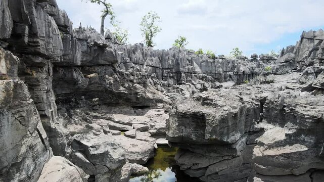 RESERVA DE CALC&Aacute;RIO NA NATUREZA, LIMESTONE RESERVE IN NATURE - BRAZIL