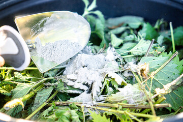 Making Nettle Manure with Rock Dust / Process of adding mineral-rich rock dust to fermenting nettle manure in a black container, demonstrating traditional organic garden fertilizer preparation