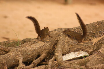 Foto da Praia de Manguinhos - Serra - ES