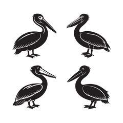 Set of Pelican Bird silhouette, black and white silhouette, vector and illustration
