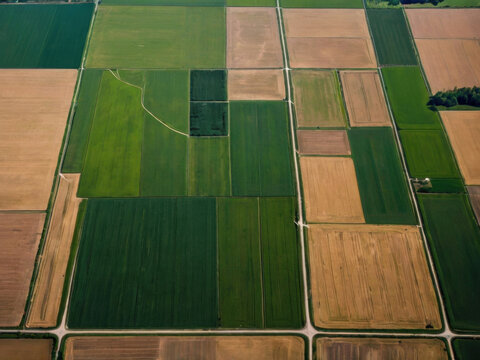 Parcelas cultivadas vistas desde el cielo
