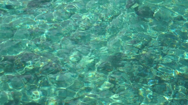 Transparent water in lake in Arrayanes National Park, Argentina