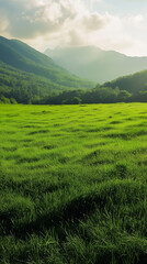 Fototapeta premium green grassland landscape 