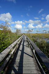 Fototapeta premium Pa Hay Okee boardwalk under sunny autumn cloudscape in Everglades National Park, Florida.