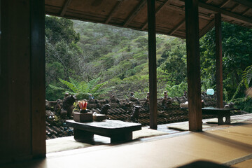 Fototapeta premium relax in the garden