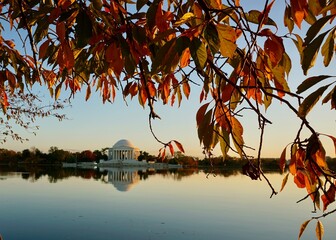 Jefferson Memorial in the fall