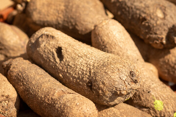Pile of white African yam