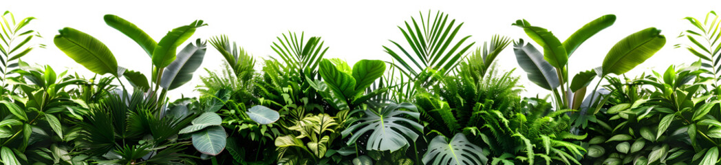 Lush green bush featuring monstera, palms, rubber plants, and ferns, isolated on white background  © AN STOCK