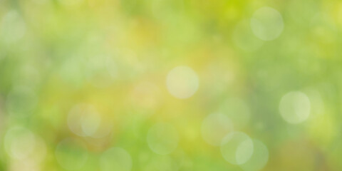 Natural defocused background. Defocused lights green and yellow. Bokeh, blurred greenery.