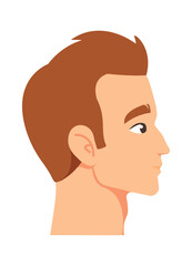 Hair transplantation surgery result vector illustration