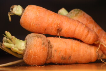 Big and Fresh Carrots Close Up
