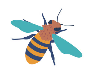 Honey bee insect vector illustration