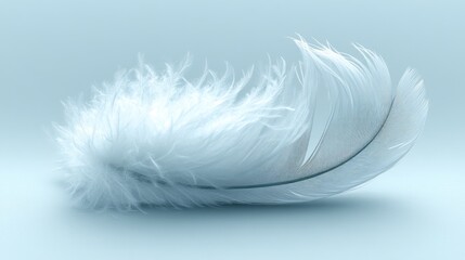 Fototapeta premium Single soft white feather on light blue background.