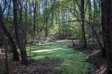 Landscape of South Park in city of Sofia, Bulgaria