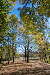 Obraz premium Landscape of South Park in city of Sofia, Bulgaria