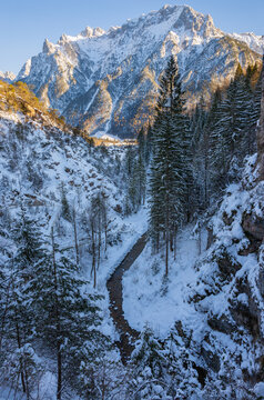 Blick auf verschneites Lainbach Tal, Tannen und Karwendelgebirge bei Mittenwald