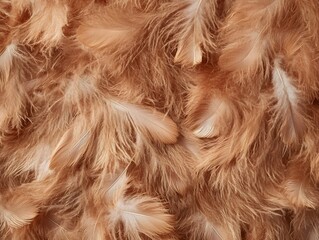 Fototapeta premium A close-up of soft, light brown feathers creating a textured background.