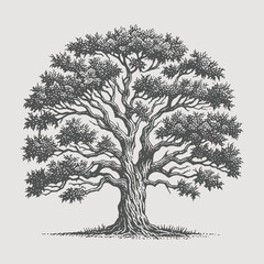 Single big Oak tree design illustration.