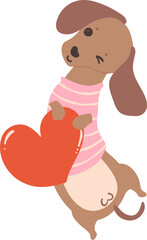 Cute Valentine Dog Dachshund with heart