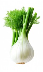 Fresh Green Onion with Vibrant Scallion Tops on a White Background for Culinary Use and Kitchen Decoration