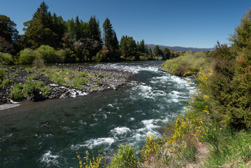 Fast-flowing Tongariro River at Turangi, New Zealand. 
