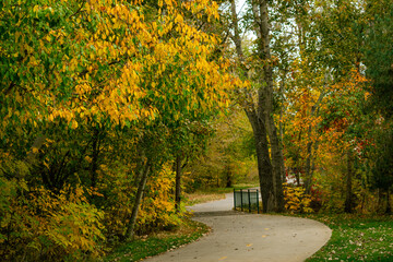 Naklejka premium autumn in the park