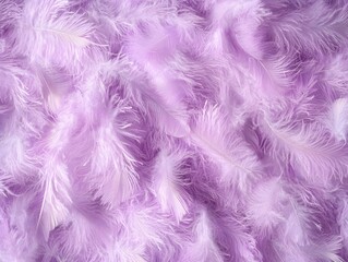 Collection of Lavender Feathers
